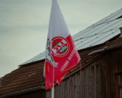 1. FC Köln vs Hoffenheim Prognose & Wett Tipp