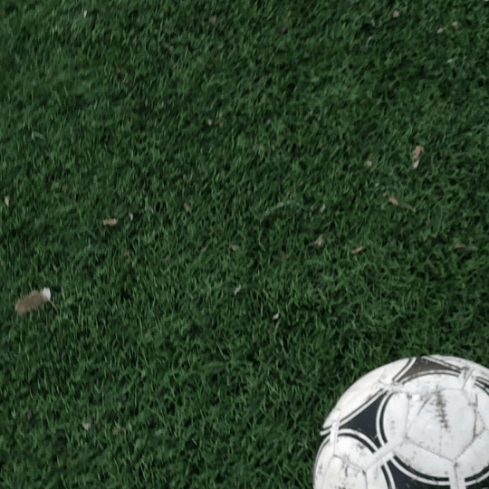 Düsseldorf vs SC Freiburg Prognose DFB Pokal, Tipps und Quoten