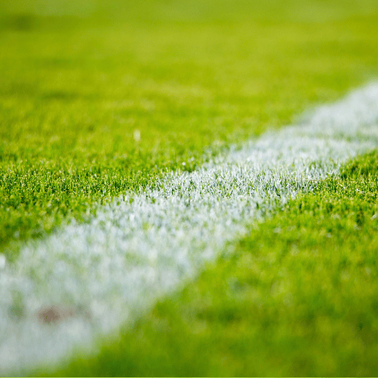 Dynamo Dresden vs Darmstadt Prognosen, Tipps und Quoten