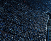 Halle vs Schalke Prognose DFB Pokal, Tipps und Quoten