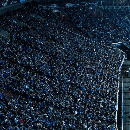 Halle vs Schalke Prognose DFB Pokal, Tipps und Quoten