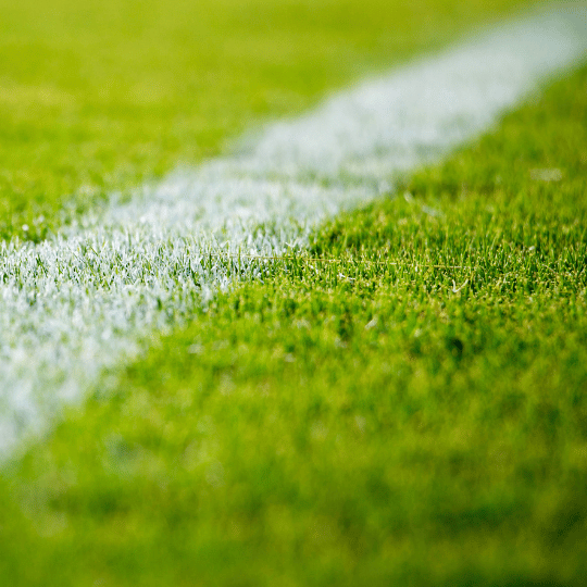 Victoria Köln vs Nürnberg Prognose, Tipps und Quoten